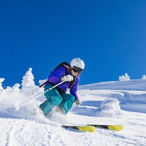 开云体育平台-暗潮涌动，新规下的英超，阿森纳坚韧与利物浦失序的争冠启示录，暗潮涌动，新规下英超争冠启示——阿森纳的坚韧与利物浦的失序